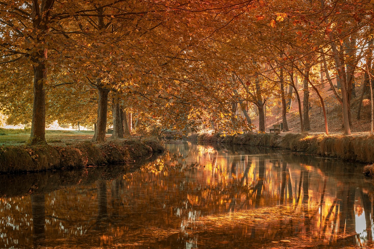 Barinas Venezuela river nature forest